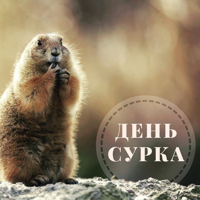 Я устала, я устала, я устала…..хочется поспать, полежать, понудить…. Все вокруг серое… Житель города вынужден обитать в каменных джунглях, проживая каждый день «день сурка». Прошу не учитывать посещения кафе, баров, кинотеатров, магазинов разнообразием в своей жизни. Задумайся, житель города, как ты живешь ? Утром встал – вечером лег спать. Между этими двумя событиями череда однообразных действий. Каждый день, день за днем…. Наша жизнь все убыстряется. Лет 20 назад я думала, что год длится очень долго. Сейчас для меня год – нарядил елку и снова ее нужно наряжать….Сколько информации выливается на нас не то что в день – в минуту !!! Ее пытаются переварить…давятся, плюют и снова жуют…Нам внушают, что нужно больше учиться, познавать новое…бегать быстрее, быстрее, быстрее…по кругу. А что дальше ? Для чего это все ? «Бери от жизни все»… А зачем ? Не откусывай больше, чем сможешь проглотить.  Зачем тебе десять штанов, если похоронят тебя все равно в одних ? Вся эта беготня и стремление все урвать стоят твоего спокойствия ? Вспомни, когда ты в последний раз слушал тишину в своей голове ? Разве тебе не хочется остановиться? 
Я не против прогресса. Но он должен выражаться в глобальных вещах, в глобальных достижениях. А когда все с упоением таращатся на «новую» (которая через неделю станет старой) модель телефона – это деградация, а не прогресс. 
Помнишь в книгах Кира Булычева, в детстве, мы читали про летающие машины, про межзвездные поездки на каникулы, про движущуюся дорогу, на которой можно стоять и ехать… Это должно было быть НАШЕ будущее !!! И где оно? Телефон потоньше – это не будущее ! 
Поехали в деревню, в глушь, а ? Там у тебя будет время подумать о смысле жизни. Не том смысле, который тебе внушают с экранов телевизоров, с витрин магазинов и прочее. А настоящий смысл ТВОЕЙ жизни. Я тебе гарантирую, что ты испугаешься… Потому что в твоей нынешней жизни никакого смысла-то и нет… To be continued 