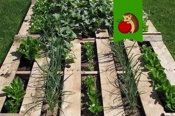 Фото: https://scontent-atl3-1.cdninstagram.com/