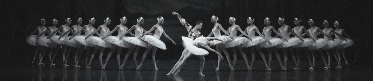 Классический балет. Сцена из балета "Лебединое озеро"