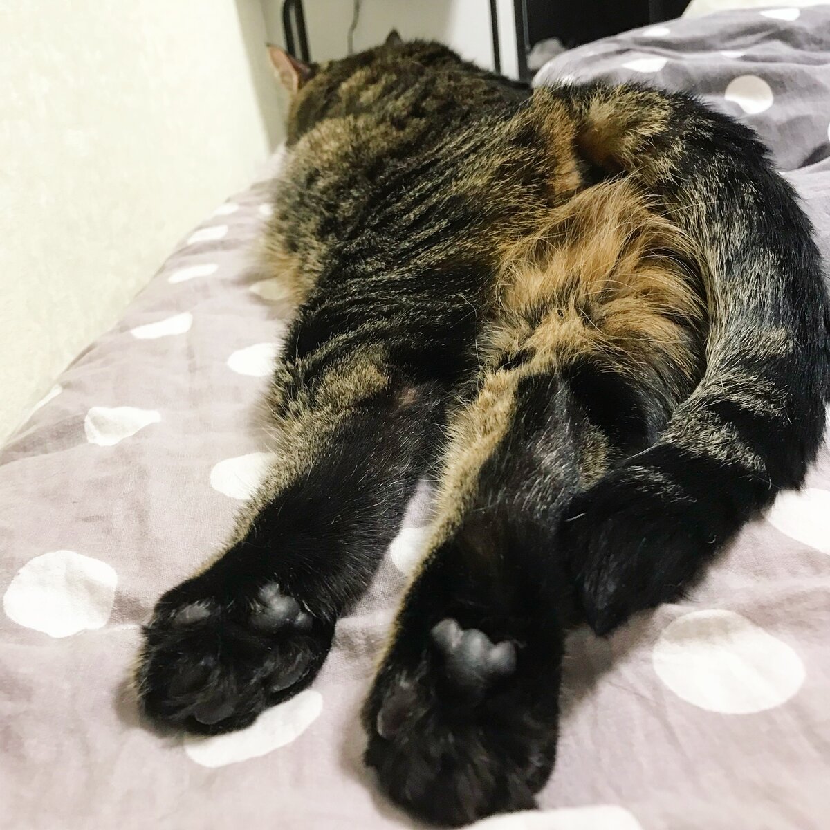 Когда удача отвернулась 