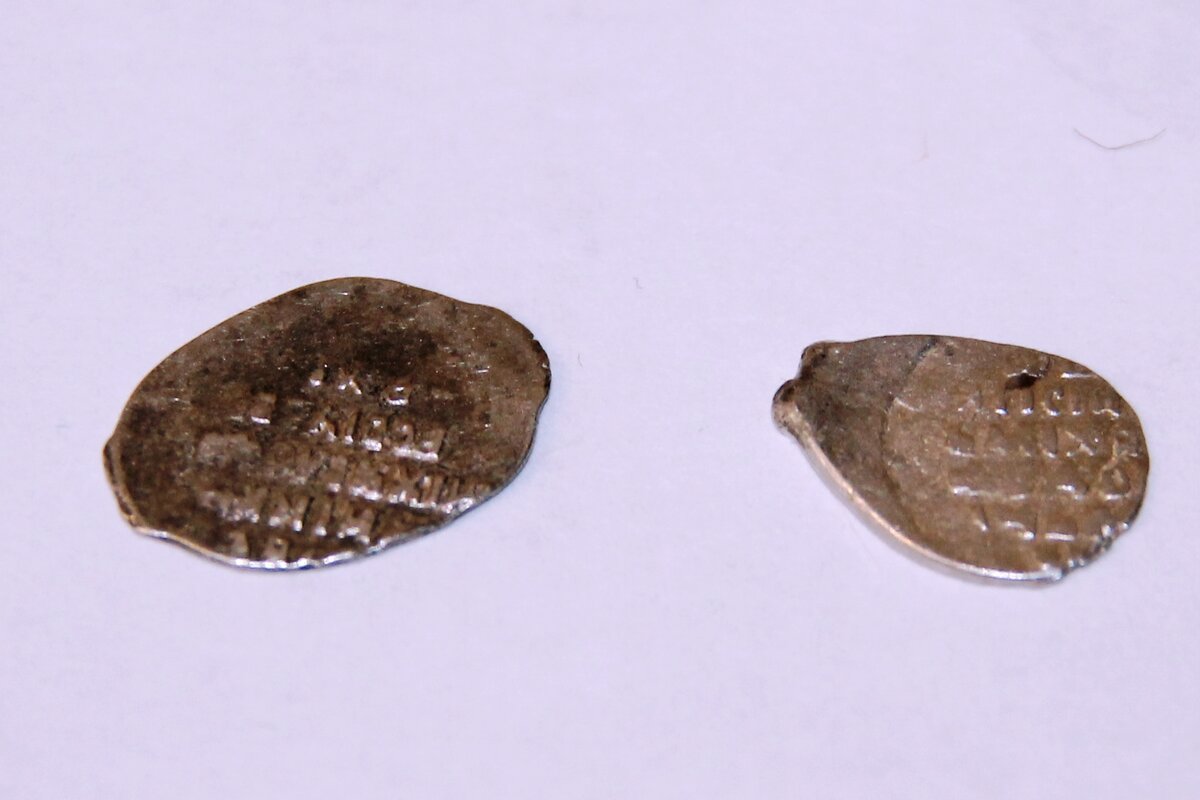 Чешуйки Михаила Федоровича из личной коллекции