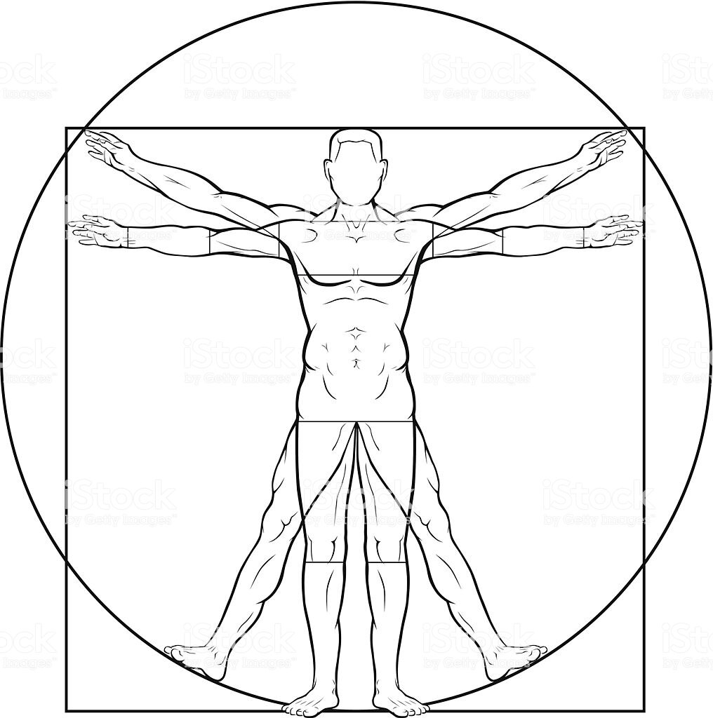 https://media.istockphoto.com/vectors/vitruvian-man-vector-id177907132 (человек "Да Винчи")