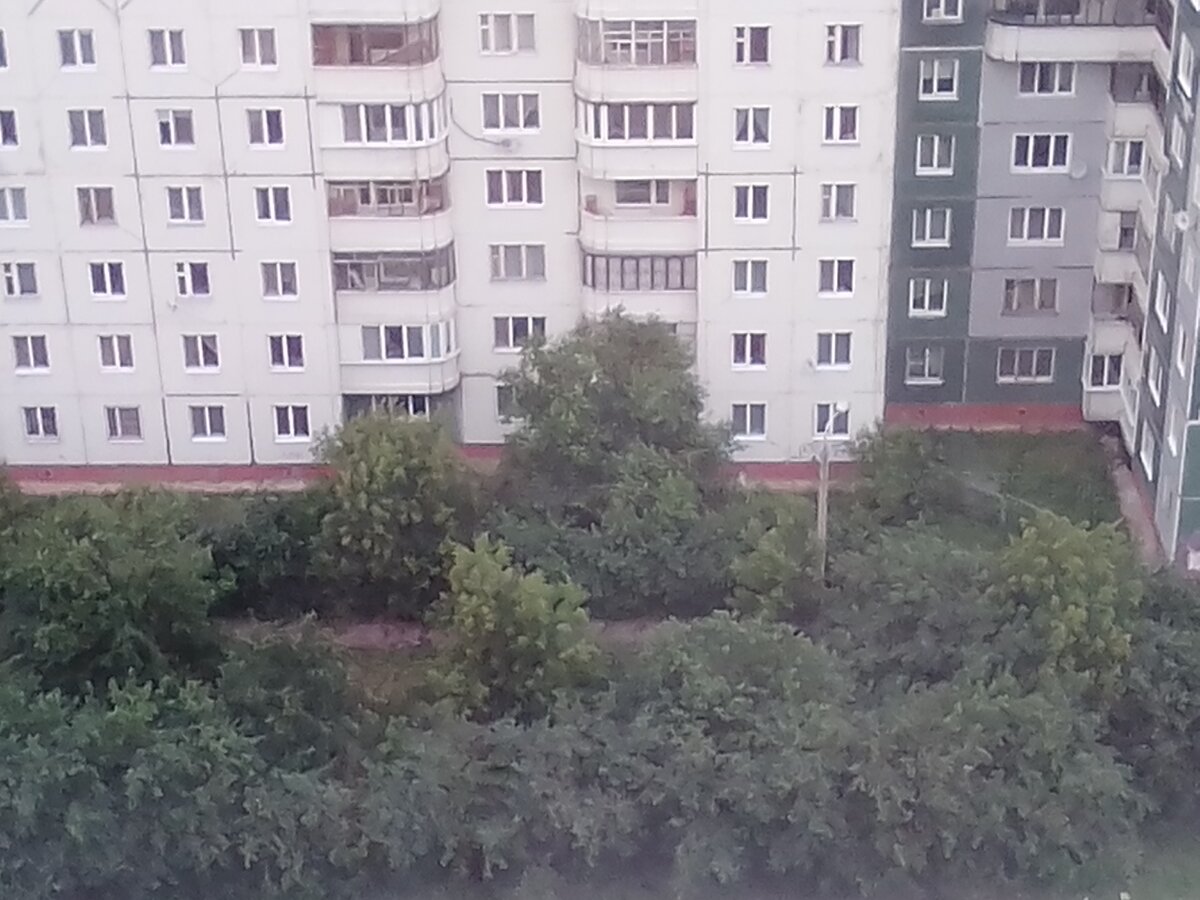 Каждый день ветер! Ужас!