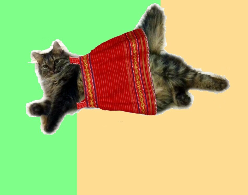 Авторская кошь