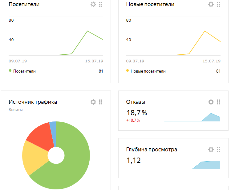 На метрике начали рисоваться графики