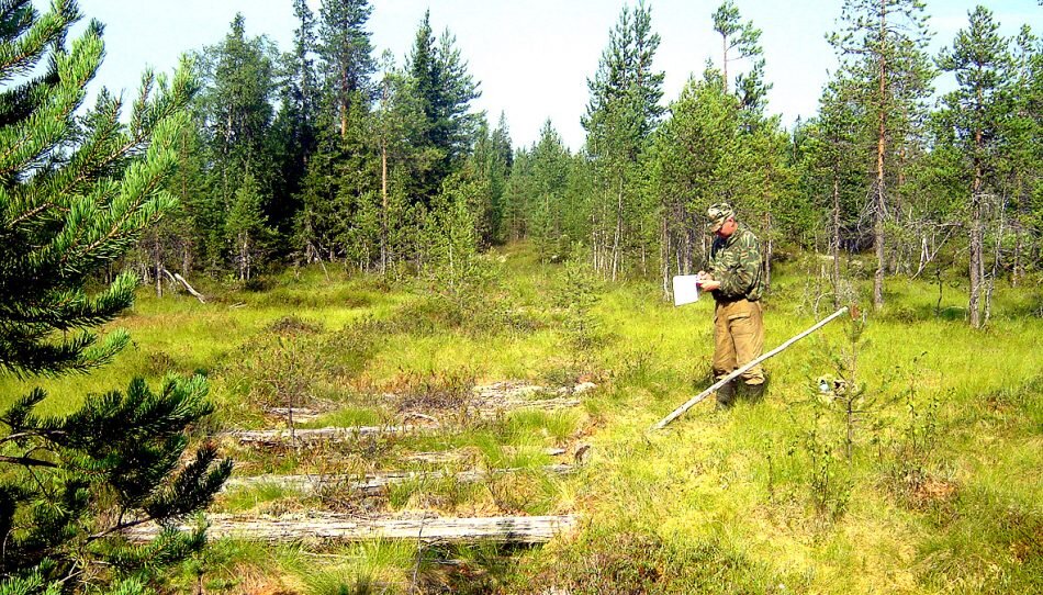 К северо-востоку от бывшей деревни Коросьозеро в Сегежском районе Александр Шелехов обнаружил в 1995 году несколько фрагментов старой бревенчатой дороги. По своему местоположению и внешним признакам она соответствует «Осударевой дороге». 2010 год