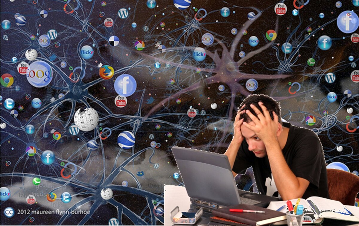 Яндекс картинки