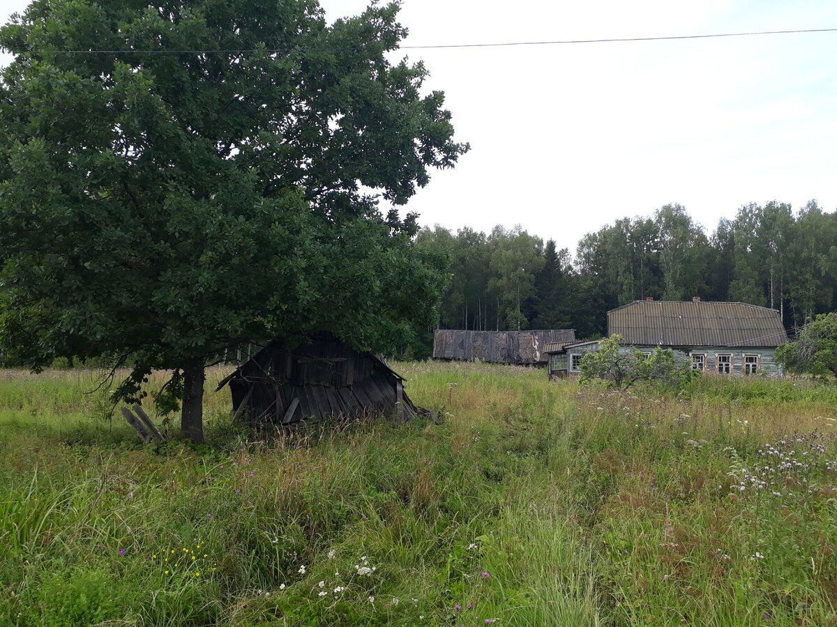 Владимирский Тупик. Фото Артема Локалова.