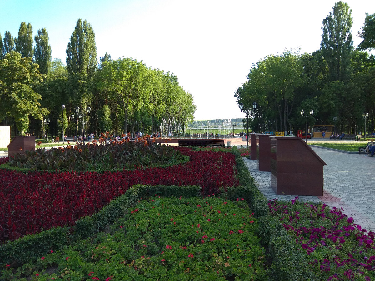 В парке Победы