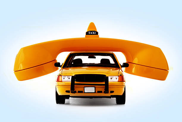 фото из открытых источников.