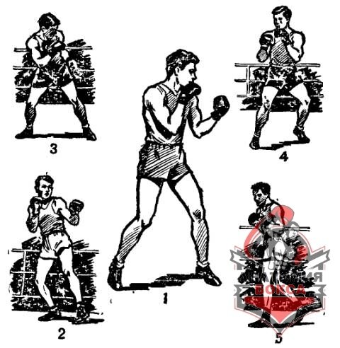  Методические материалы тренерского коллектива школы бокса Чемпион в разделе стойки боксера.
 Классическая стойка – это наиболее удобное расположение всех частей тела боксера.