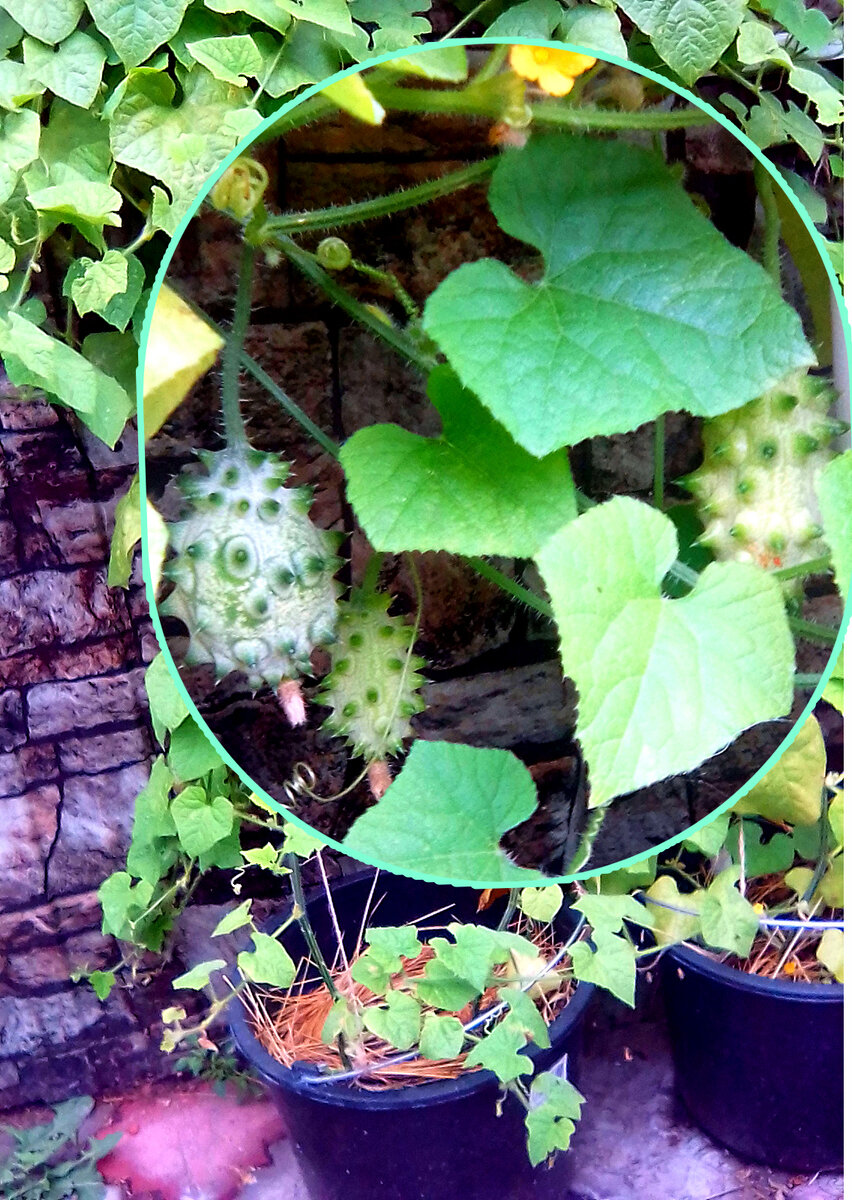 Мир увлечений