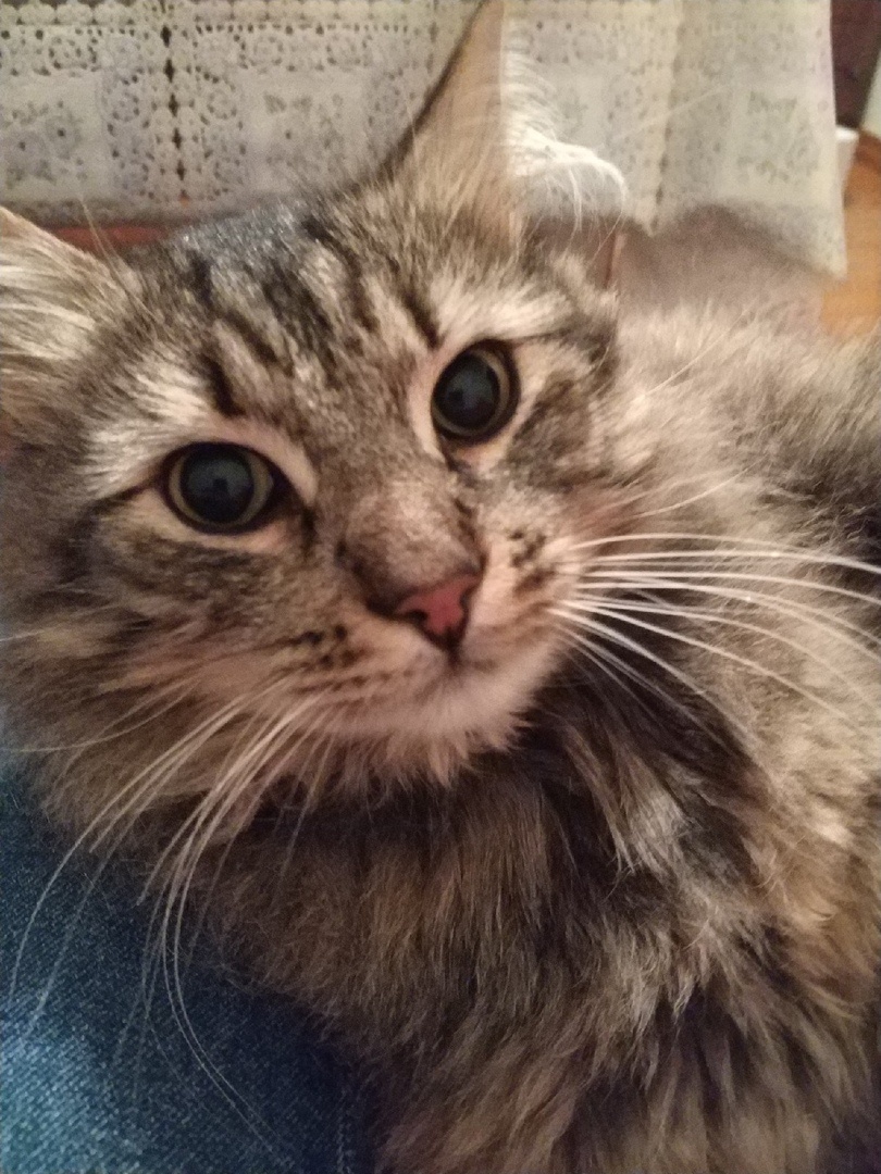 Фото из личного архива автора.