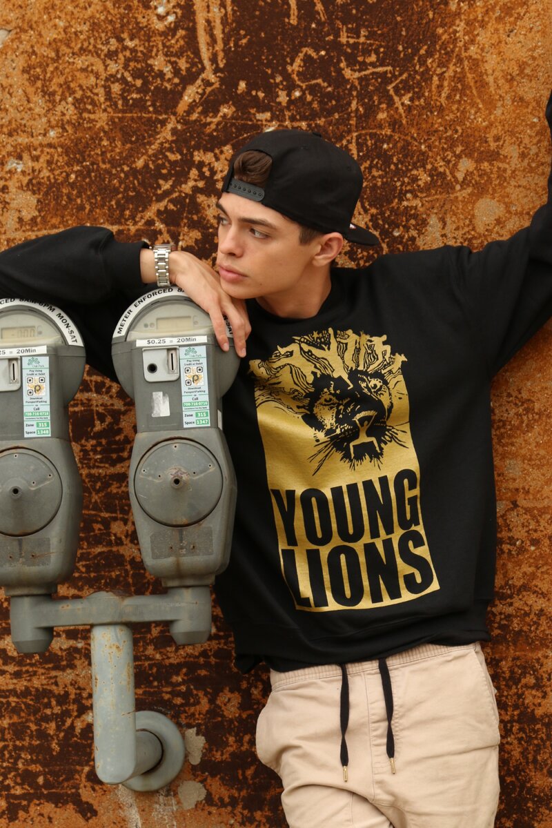 Фото: younglionsdance.com