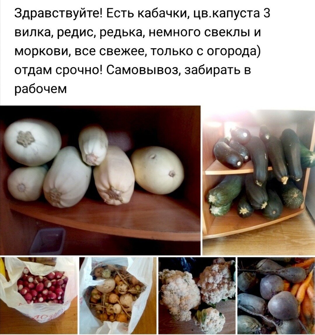 Скриншот из группы фудшеринга