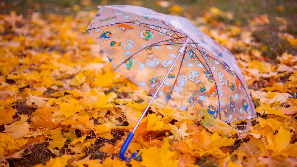 полиэтилен - самый ненадежный материал для зонта