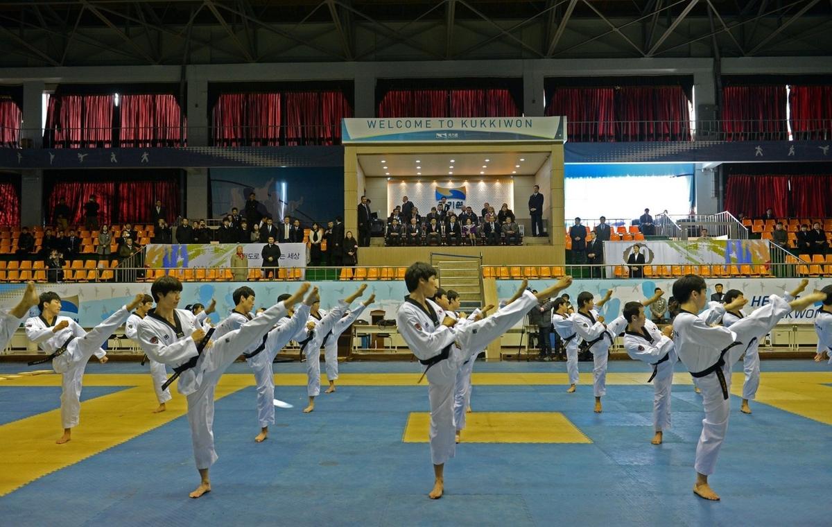 Спорт род. Южная Корея тхэквондо. Тхэквондо ВТФ Куккивон. Южная Корея Куккивон. Куккивон тхэквондо в корейском стиле.