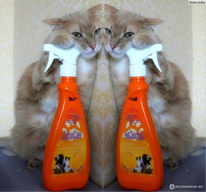 Источник фото: irecommend.ru