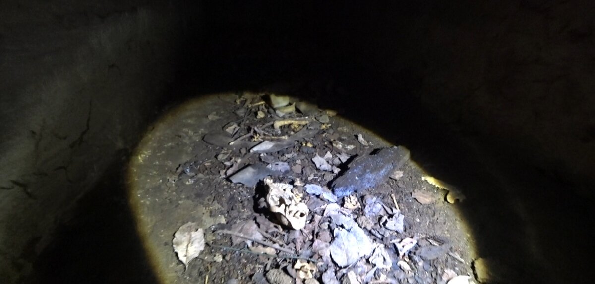 Нашли череп в заброшенном бункере ЗРК