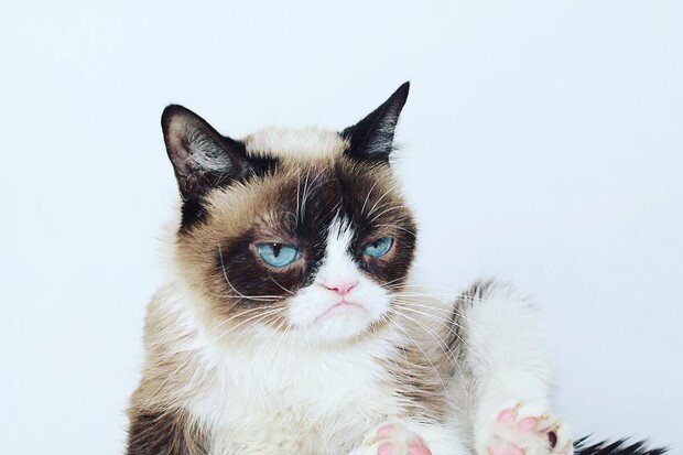 фото www.wday.ru