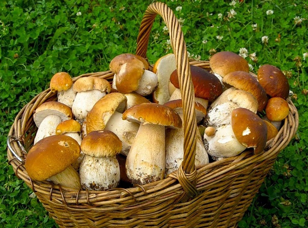 Будьте внимательны! 