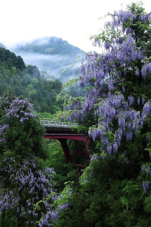 pinterest.ru