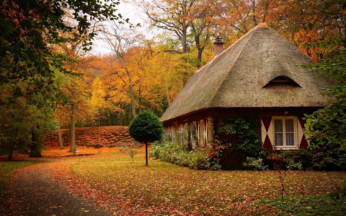 https://www.firestock.ru/osenniy-peyzazh-s-domom-autumn-landscape-with-a-house/