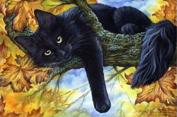 фото из открытого источника