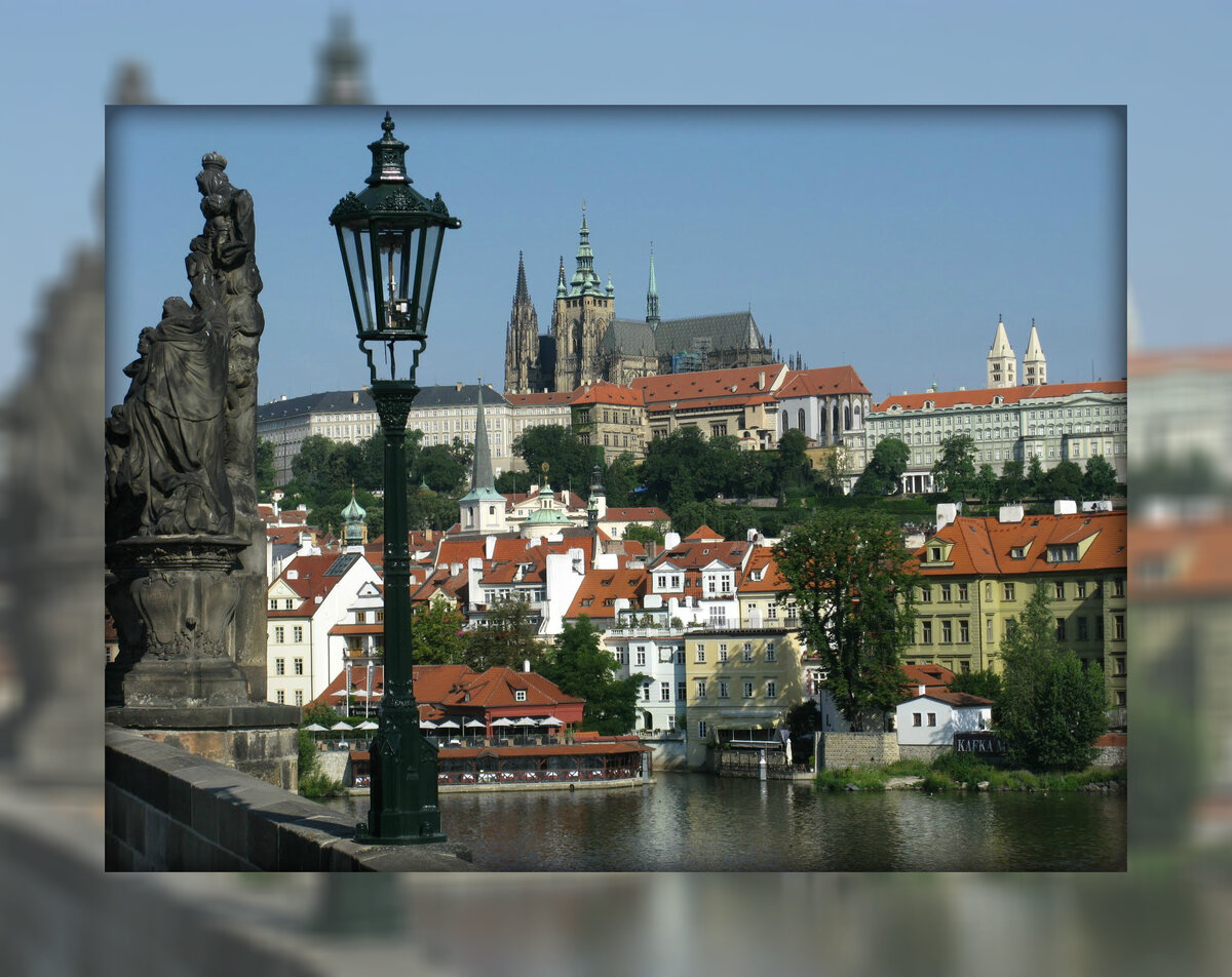 Прага люцерна