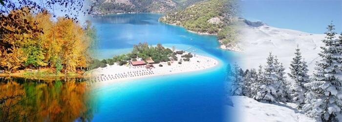 Фото использовано в качестве иллюстрации. Источник — сервис «Яндекс Картинки».