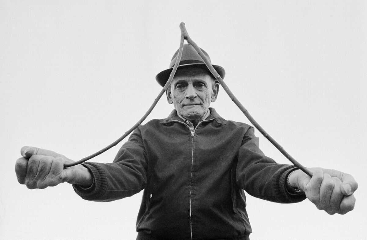 Может быть это обычная лоза? А Огильви мог ей ловко пользоваться? Источник Яндекс Картинки