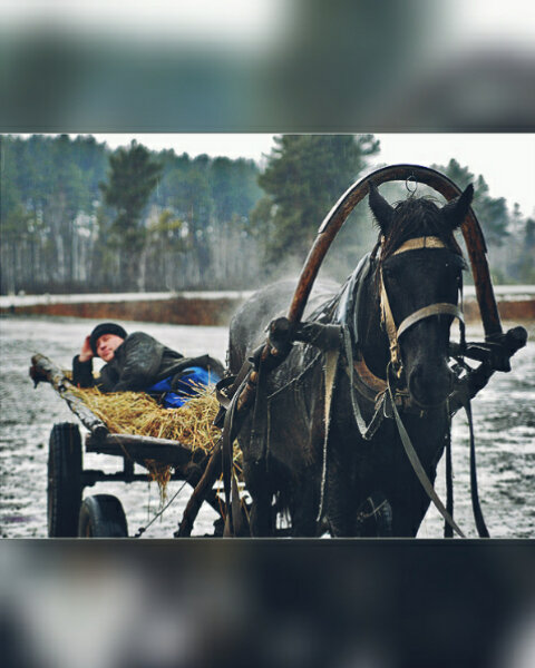 Мужик в телеге едет 