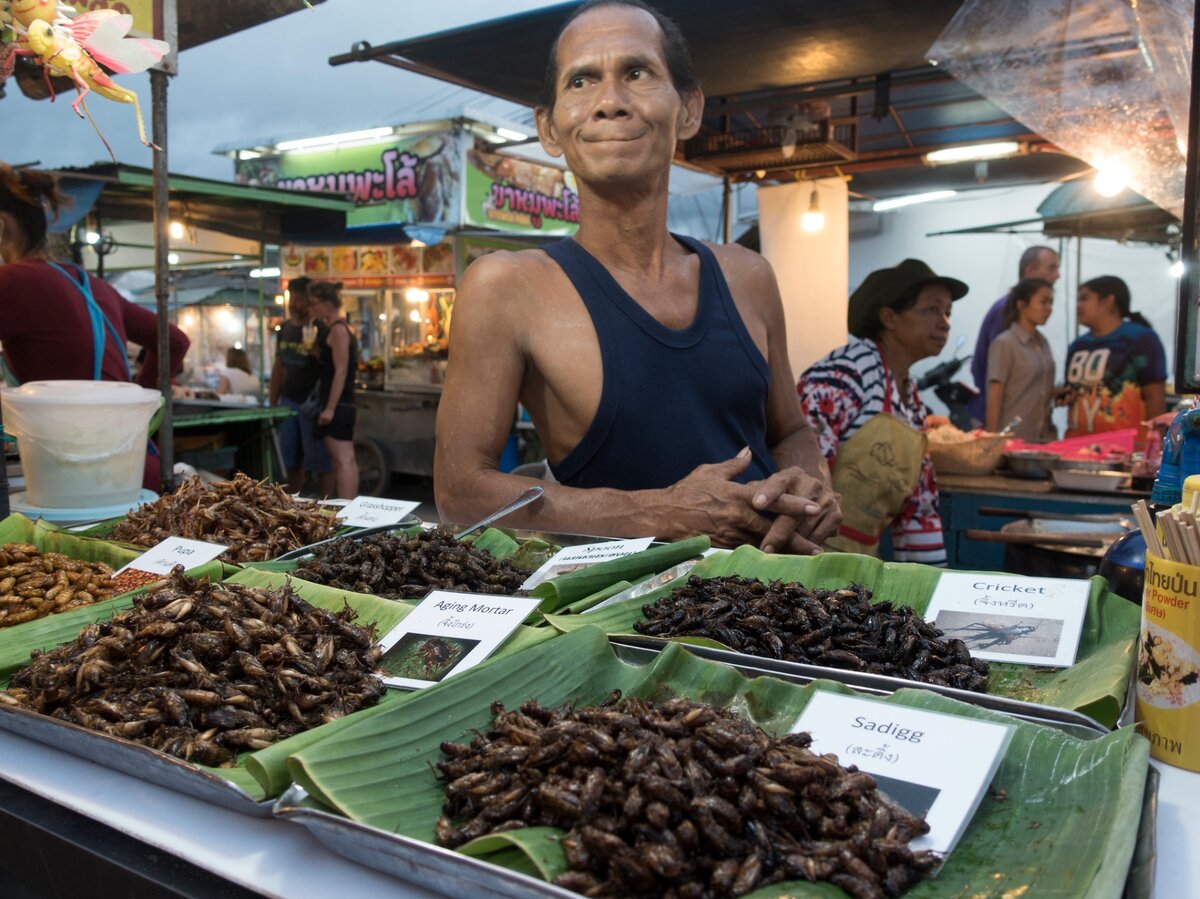 В Азии любят есть жуков и паучков (фото Paúl Villalón, flickr.com)