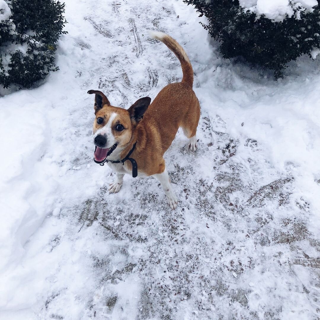 А как счастлив этот ХОРОШИЙ МАЛЬЧИК!