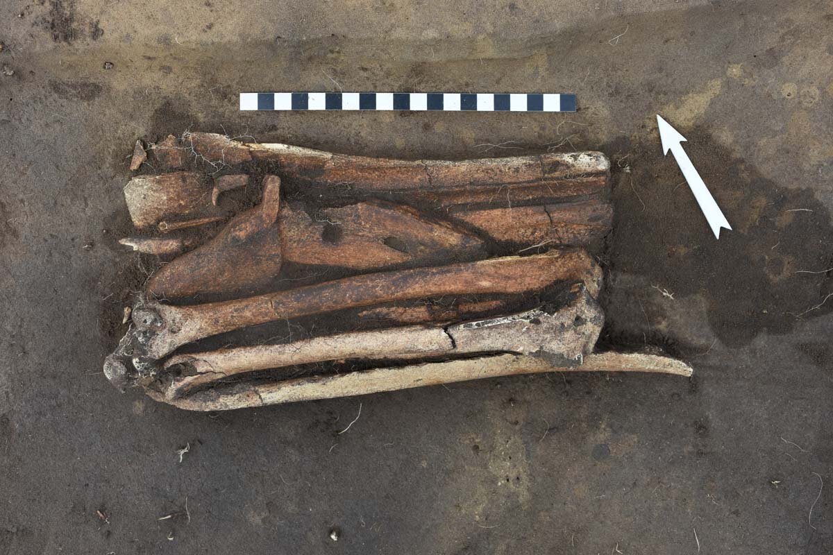 Мы видим в костяных коньках найденных археологами