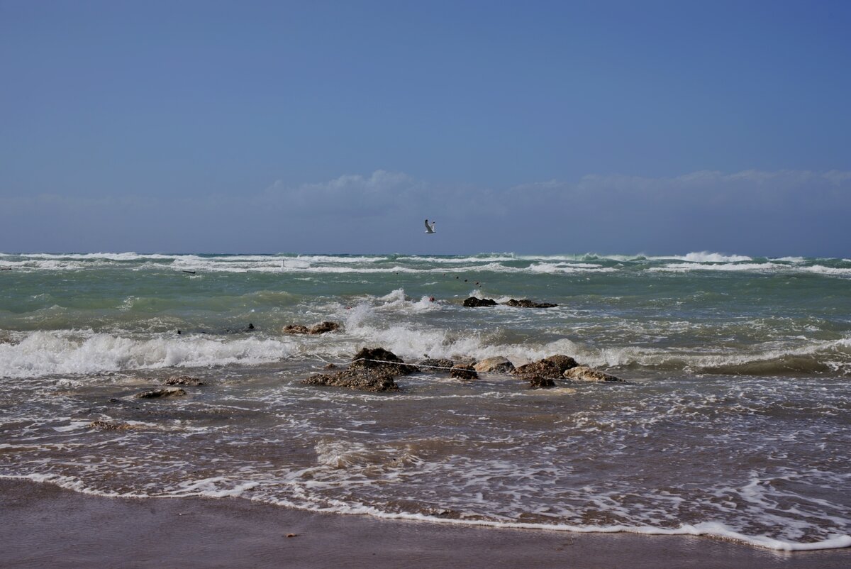 Наблюдение: мою аллергию лечит Средиземное море, а у супруги все проходит в Крыму