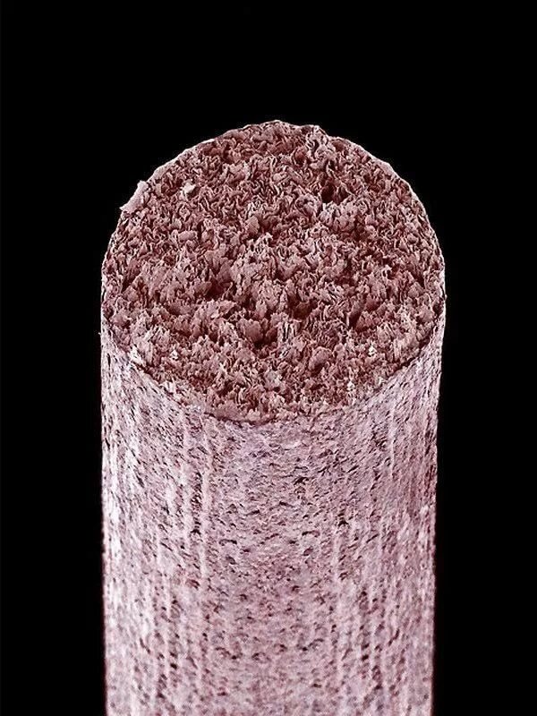 Источник: m.fishki.net