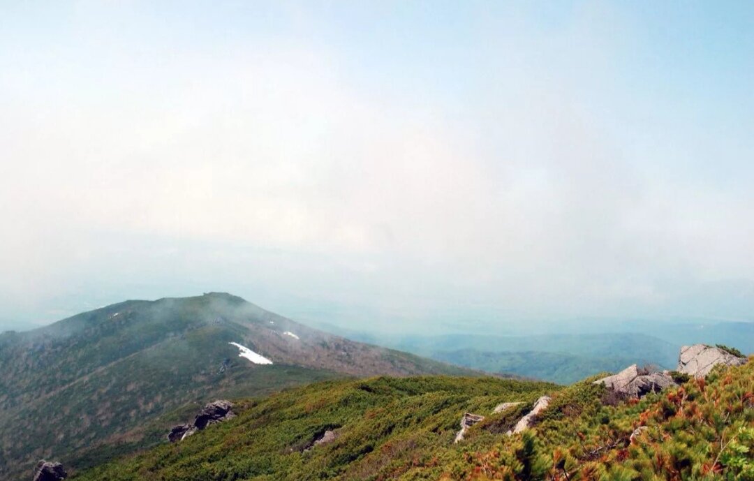 Взято из открытых источников 