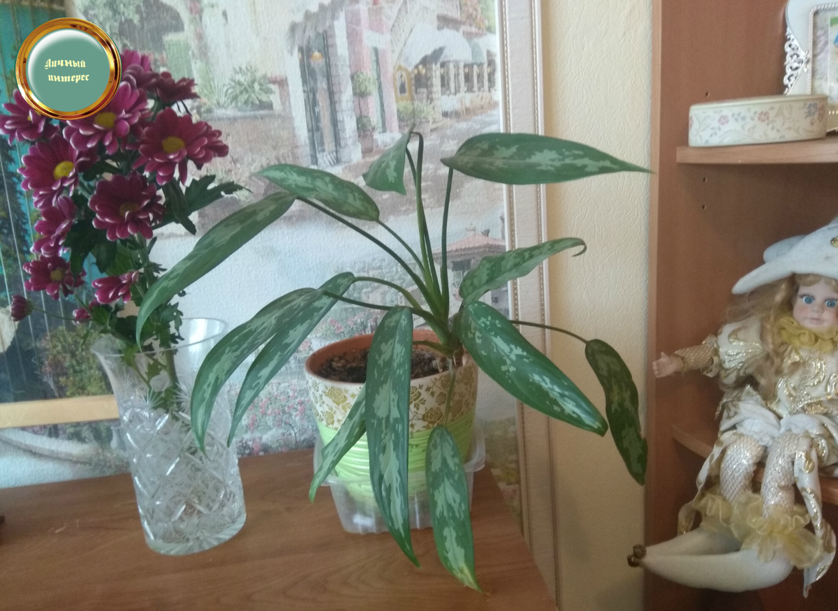 Композиция. Фото-оригинал