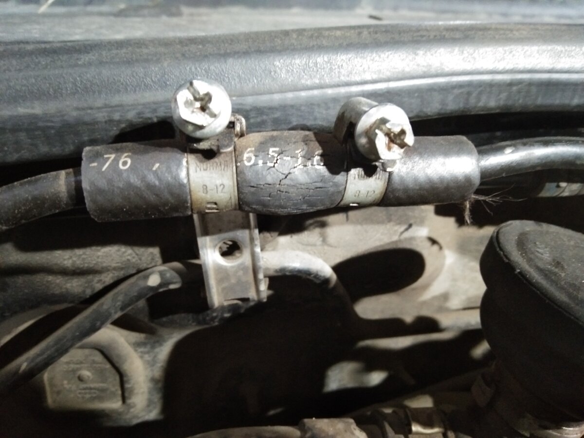 Фото из личного архива