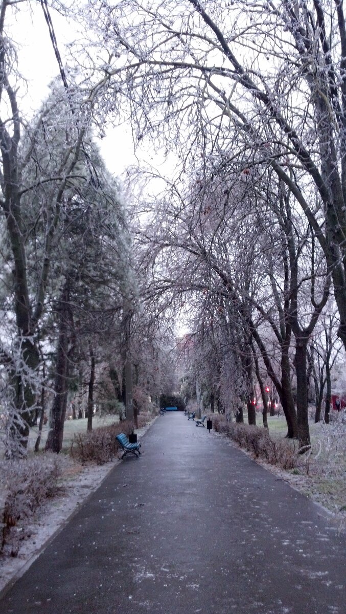 Зимний Краснодар, ледяной дождь. Очень редкая краснодарская зима.
