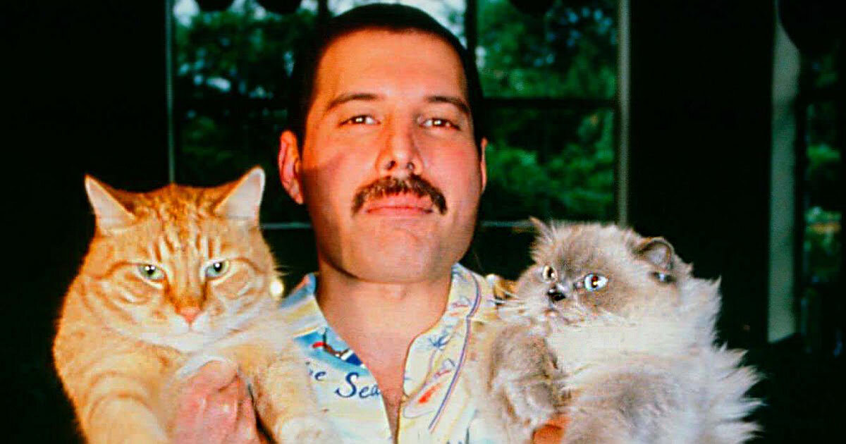 Взаимная любовь питомцев к своему "большому другу" Фредди Меркьюри.