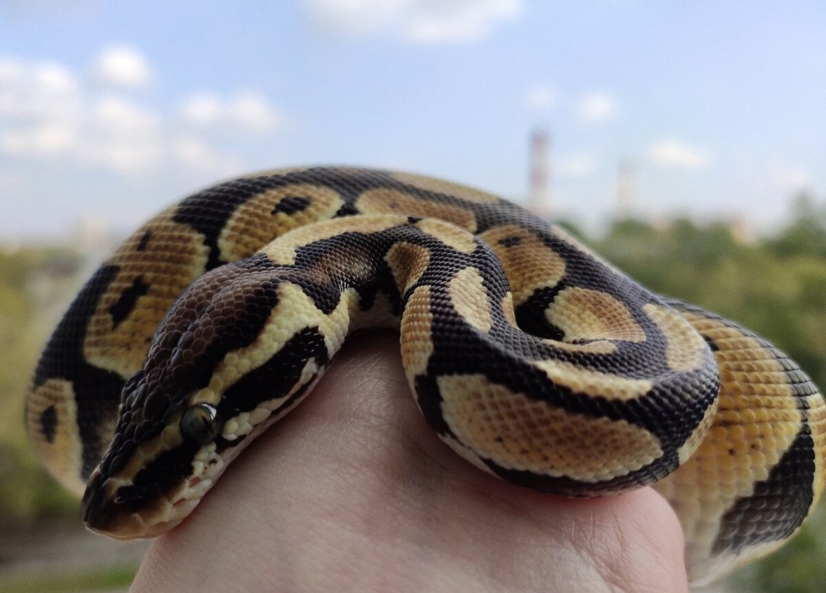 Моя особь, 2 года