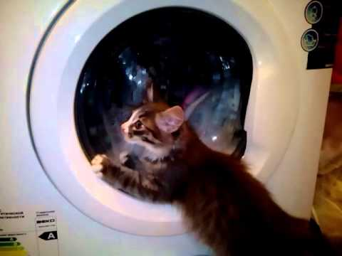 Постирайте меня кто-нибудь!