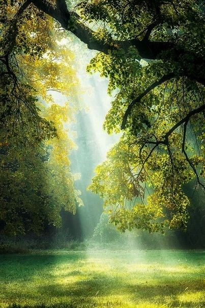 https://www.pinterest.ru/pin/728386939715427383/