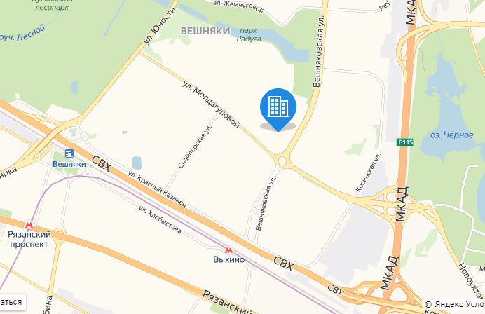 «Счастье в Вешняках»