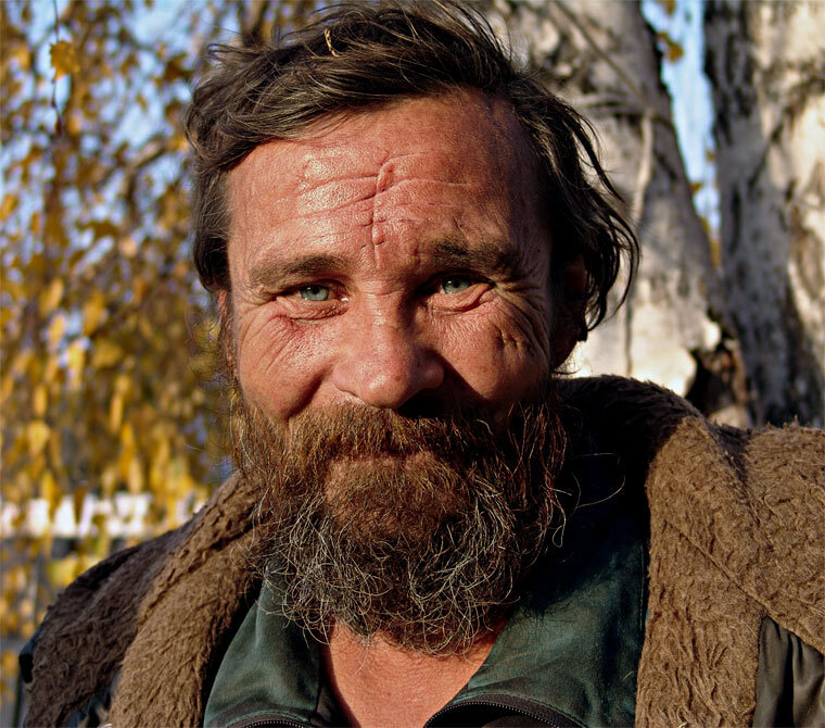 Яндекс картинки