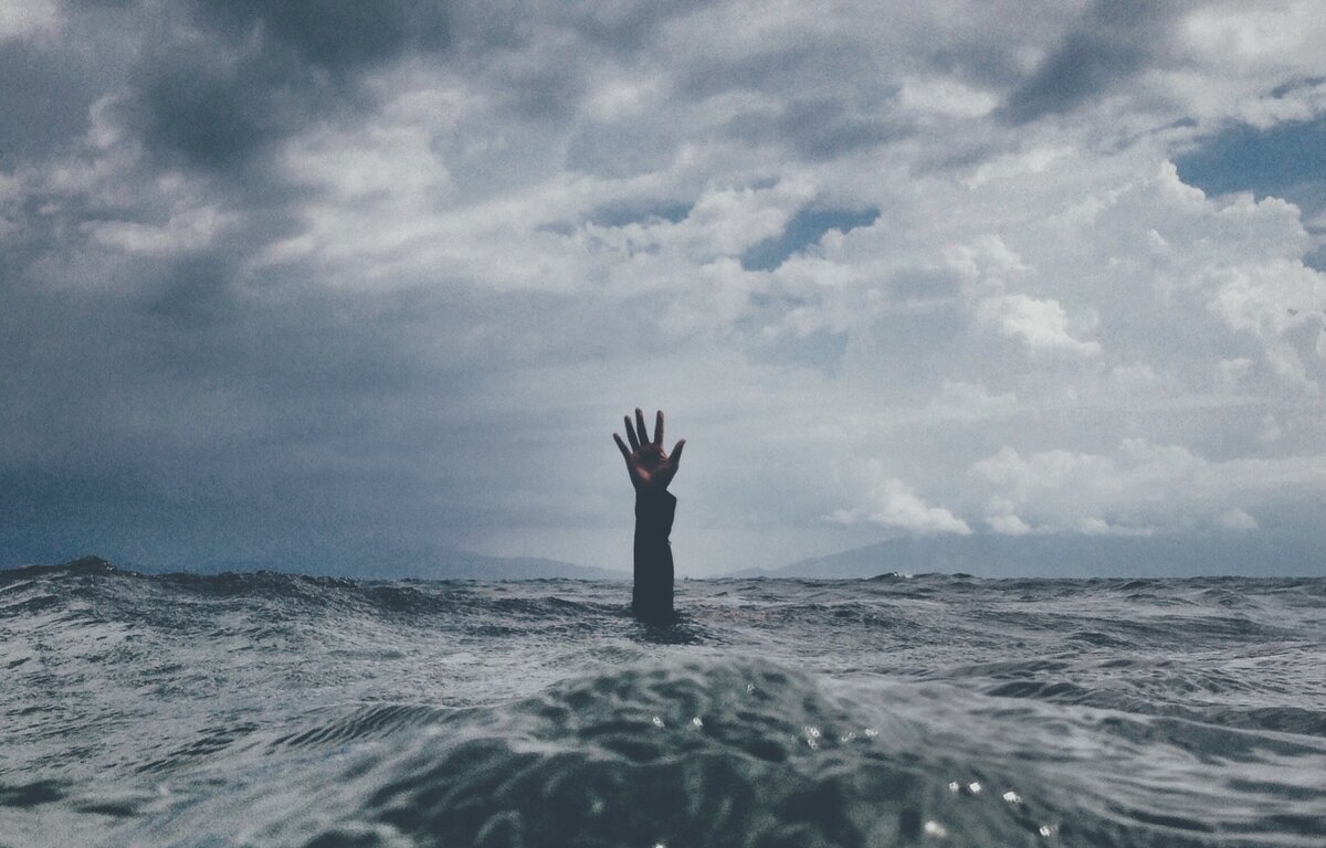 https://images.unsplash.com/photo-1495427513693-3f40da04b3fd?ixlib=rb-1.2.1&q=80&fm=jpg&crop=entropy&cs=tinysrgb&dl=nikko-macaspac-6SNbWyFwuhk-unsplash.jpg