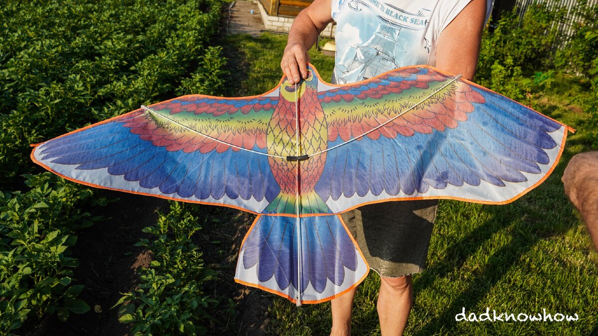 Обратная сторона