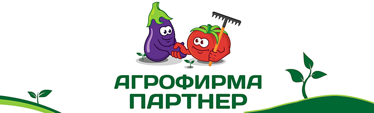 Партнер семена овощных культур